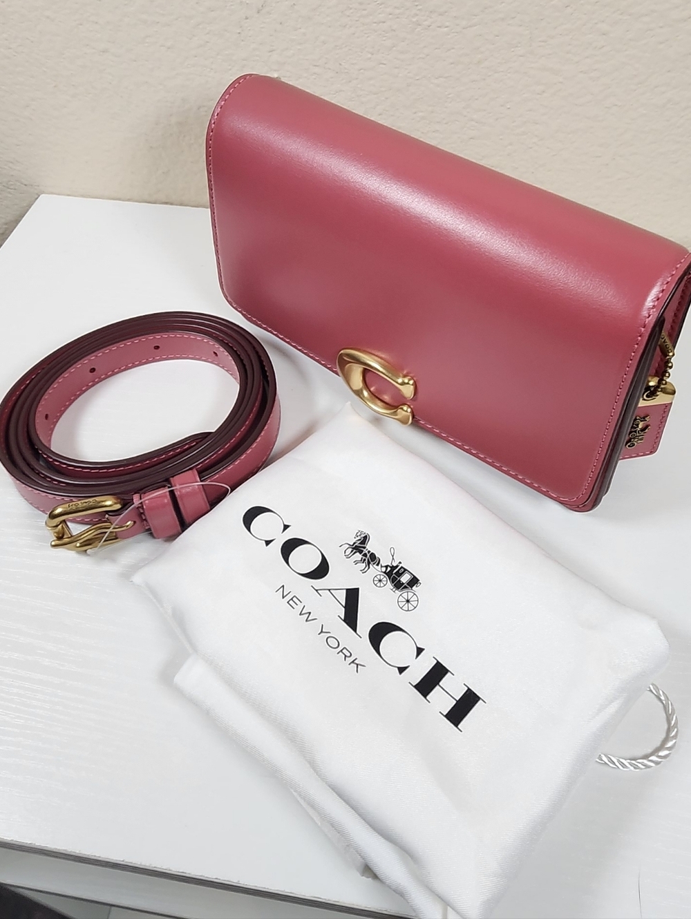 Coach Bandit Belt Bag - Picture 5 of 16